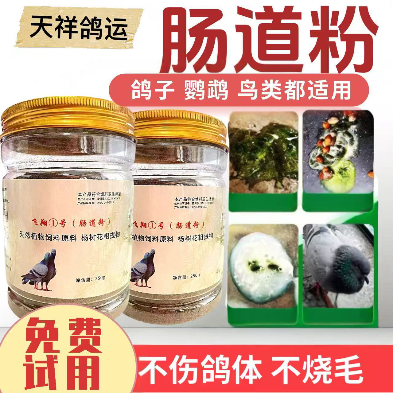 鸽子信鸽赛鸽肠道中草粉调理肠道平衡肠道菌群水便绿便粪便成粒