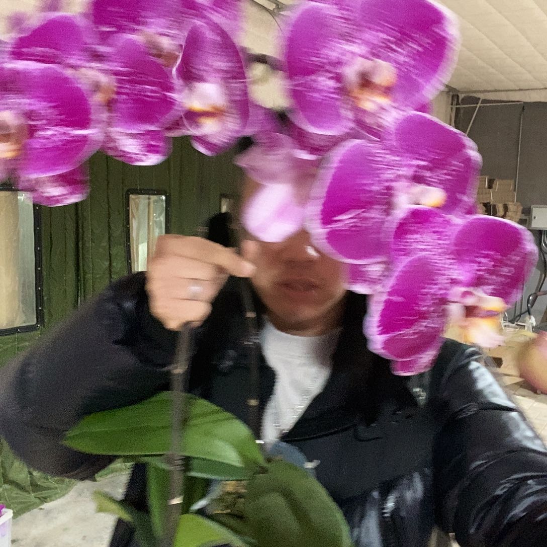 完全开放大财主3.5寸1颗默认全开