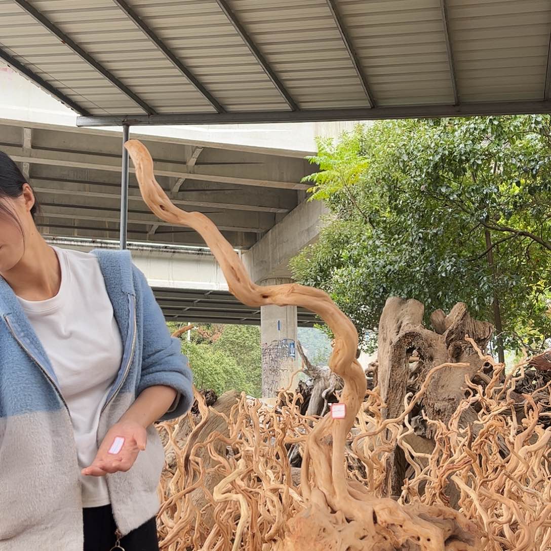 M***9木168啦啦啦啦啦啦啦啦