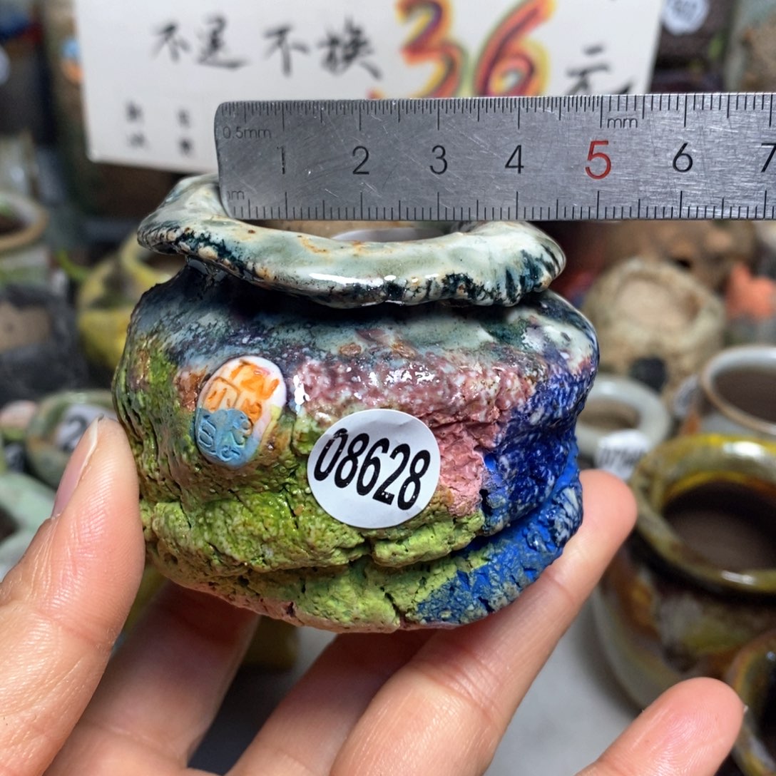 元旦活动花盆，不退不换的，原价68