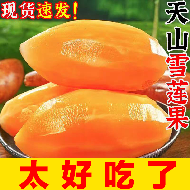 【坏果包赔】云南天山雪莲果新鲜水果正宗新鲜现挖脆甜多汁低糖水果