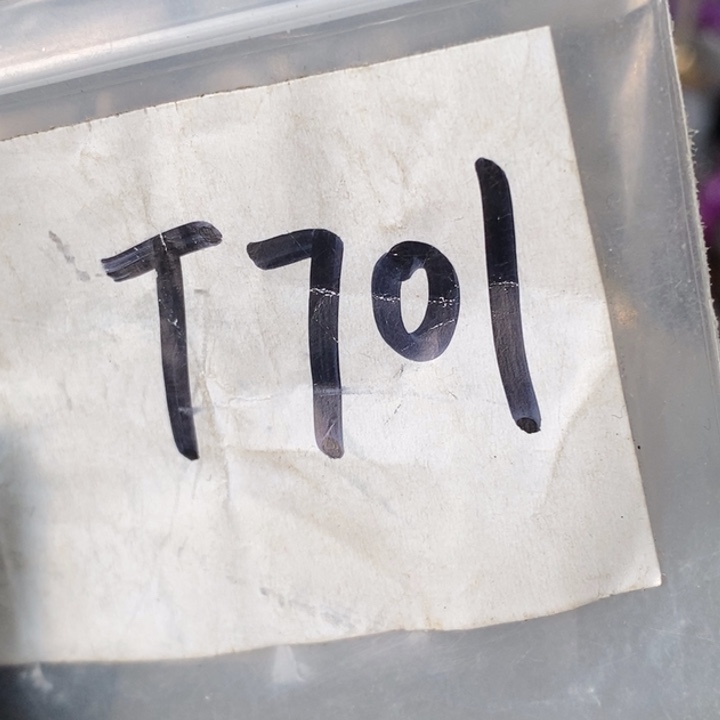 心***平民间喜乐购物直播间专属链接