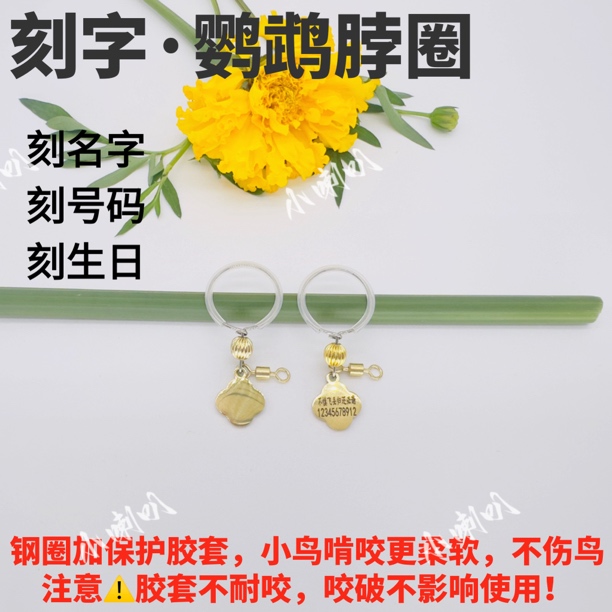 刻字鹦鹉脖套金太阳玄凤户外栓鸟链子牡丹小太阳训鸟脖圈链子和尚