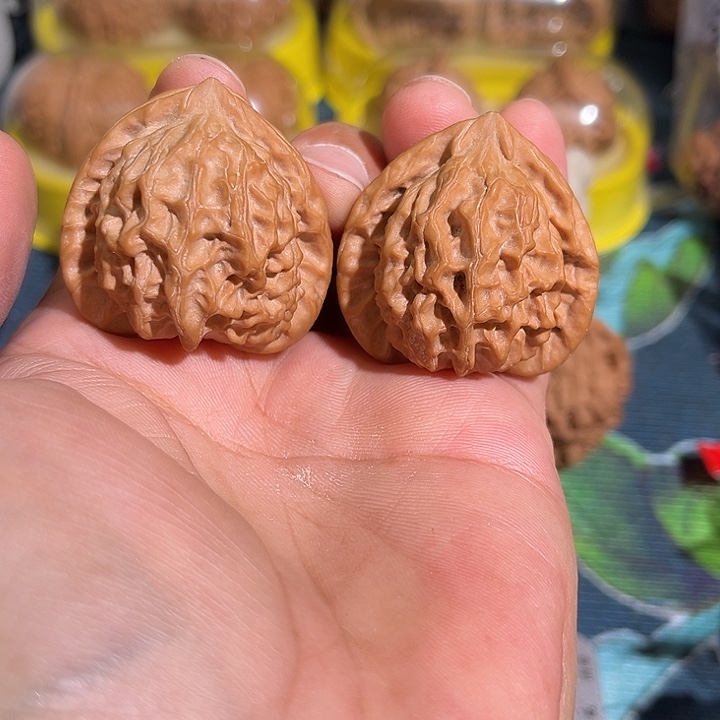 核桃老树野生金山角39