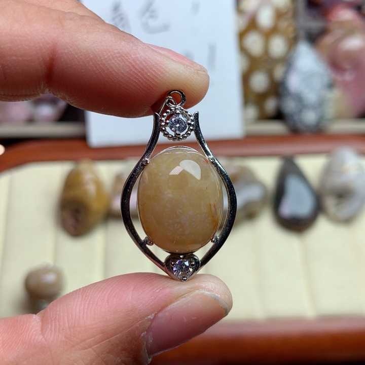 硅化珊瑚（珊瑚玉）颈饰未镶嵌