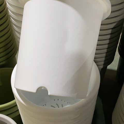 树脂四季7#无托纯白3个