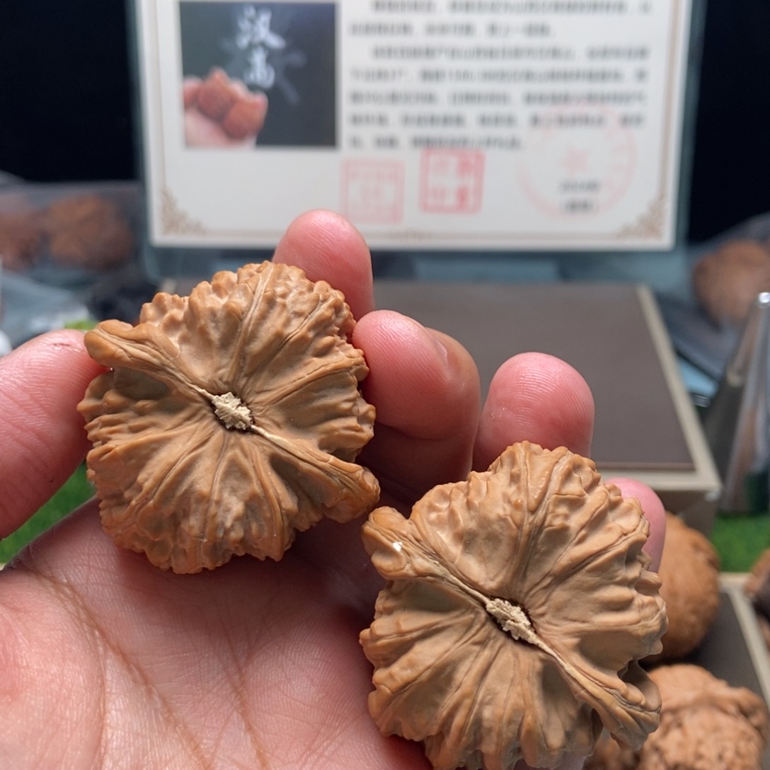 核桃手串/手链饰****饰三角白喜欢好评