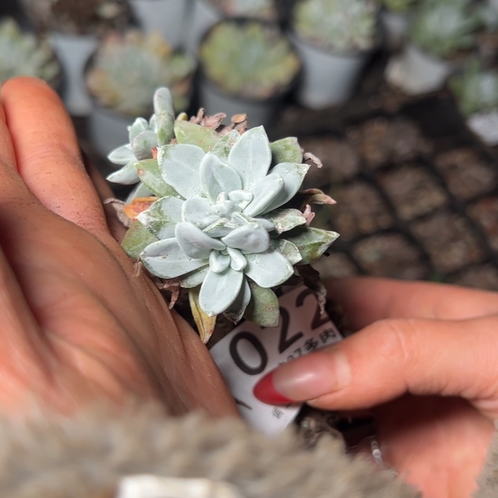 022哈哈哈哈哈哈哈哈