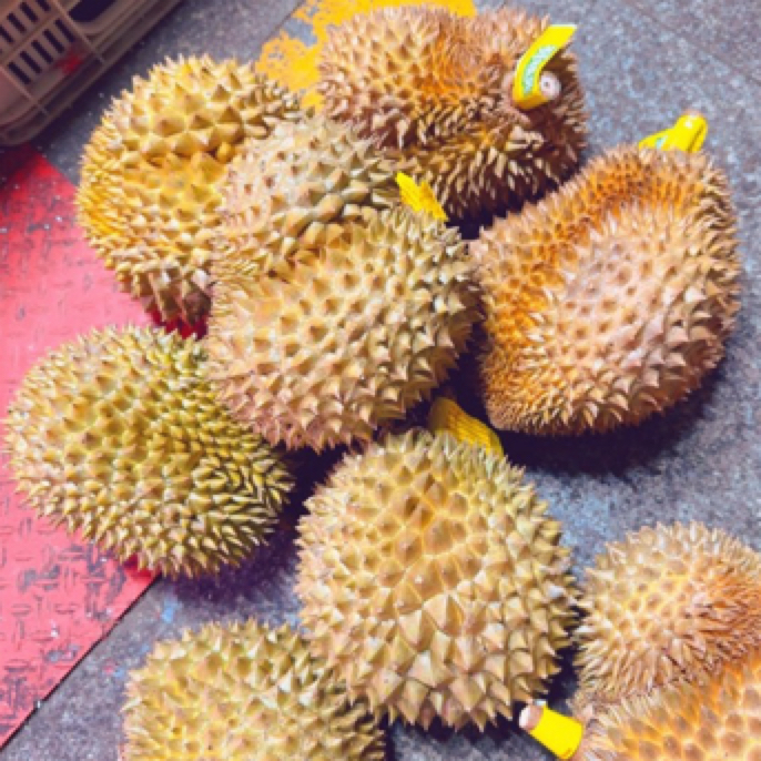 泰国金枕鲜榴莲一物一拍，核小，3.5-10斤榴莲同城配金枕泰国