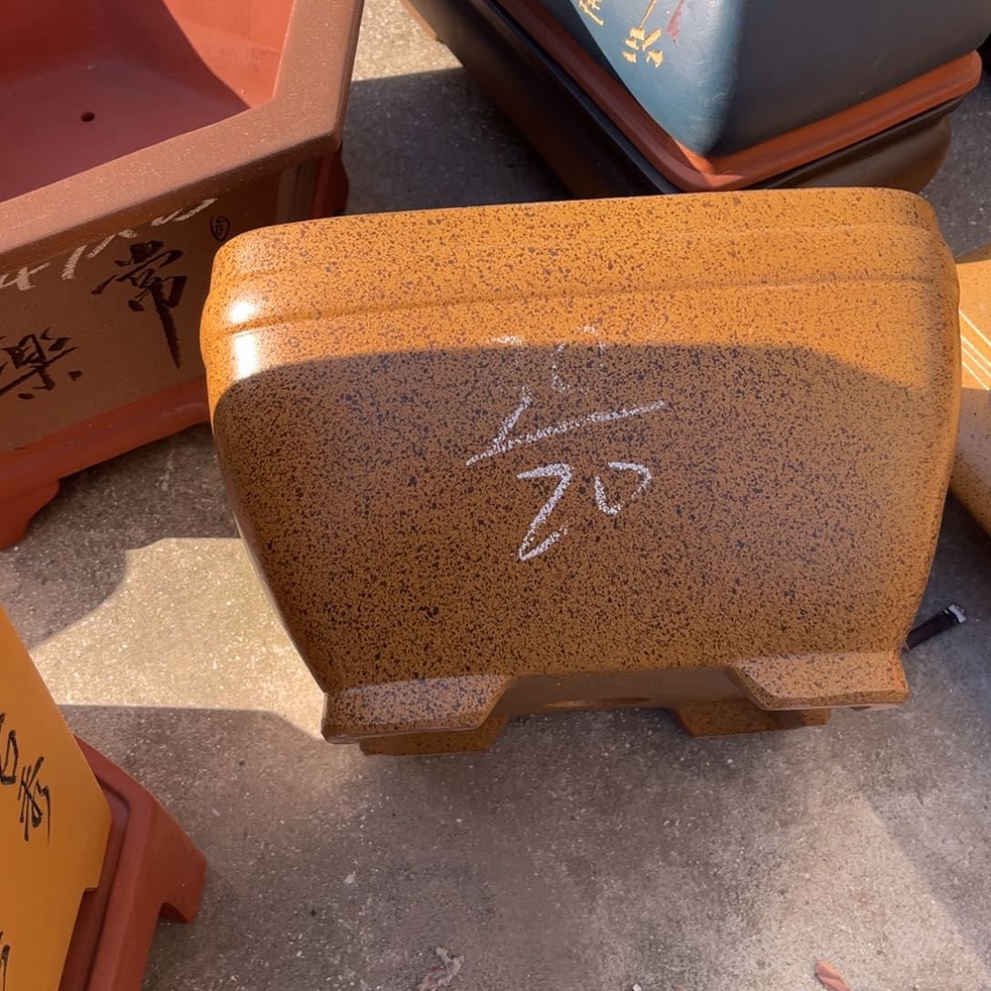 紫砂花盆盆景艺术