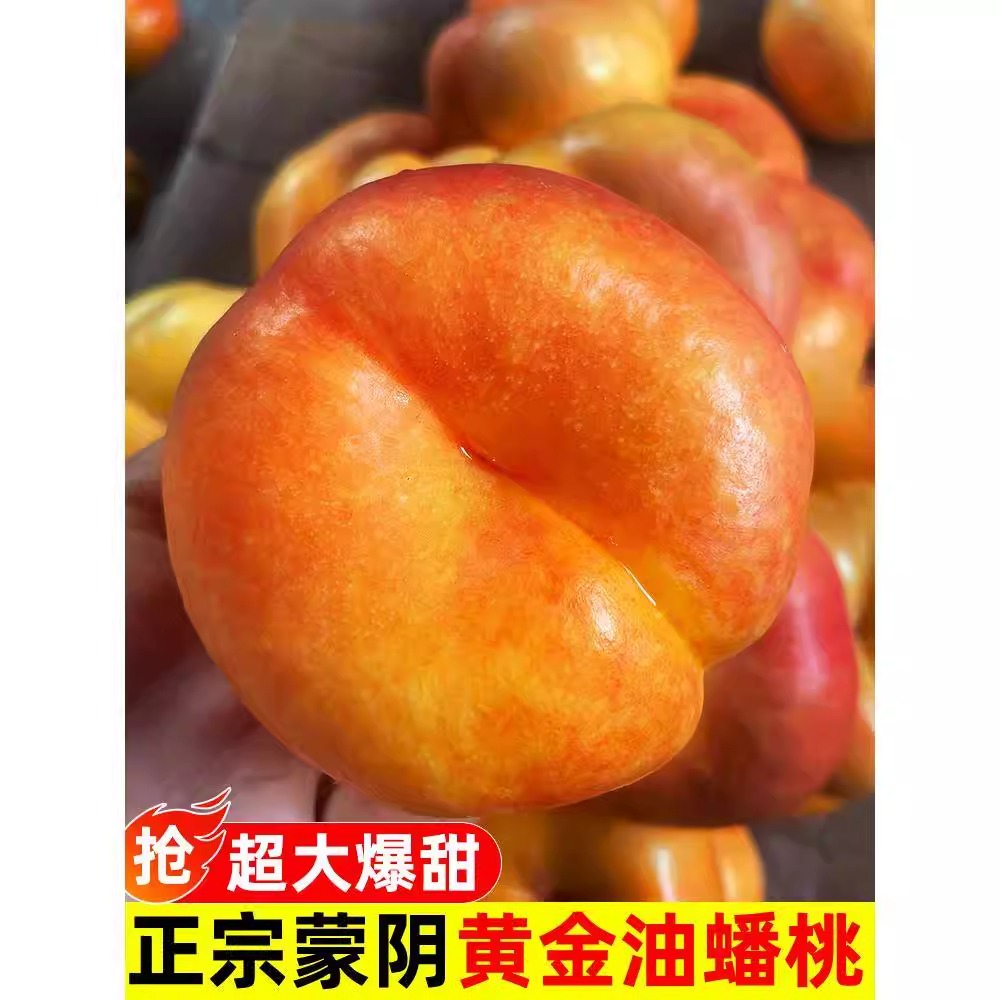 正宗蒙阴彩虹油蟠桃新鲜应季水果甜嫩多汁皮薄现摘整箱包邮