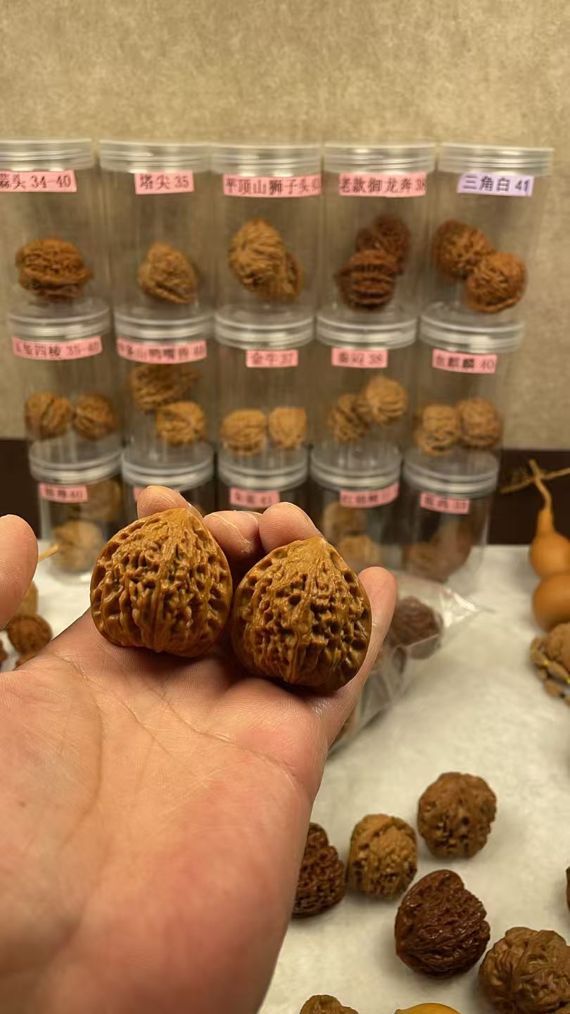 36.7尺全品原装金牛