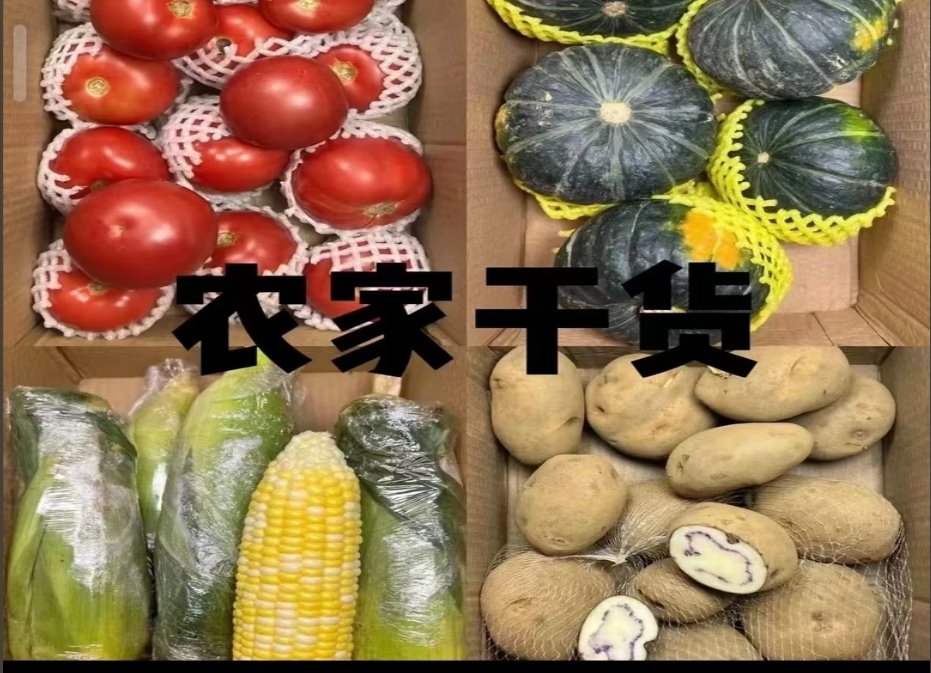 农家各类蔬菜干货直播间现挑
