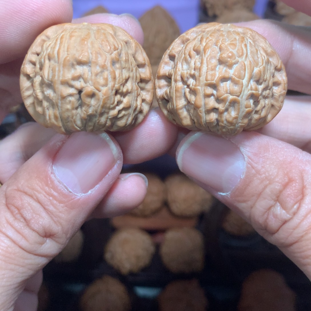 文玩核桃把件白狮子