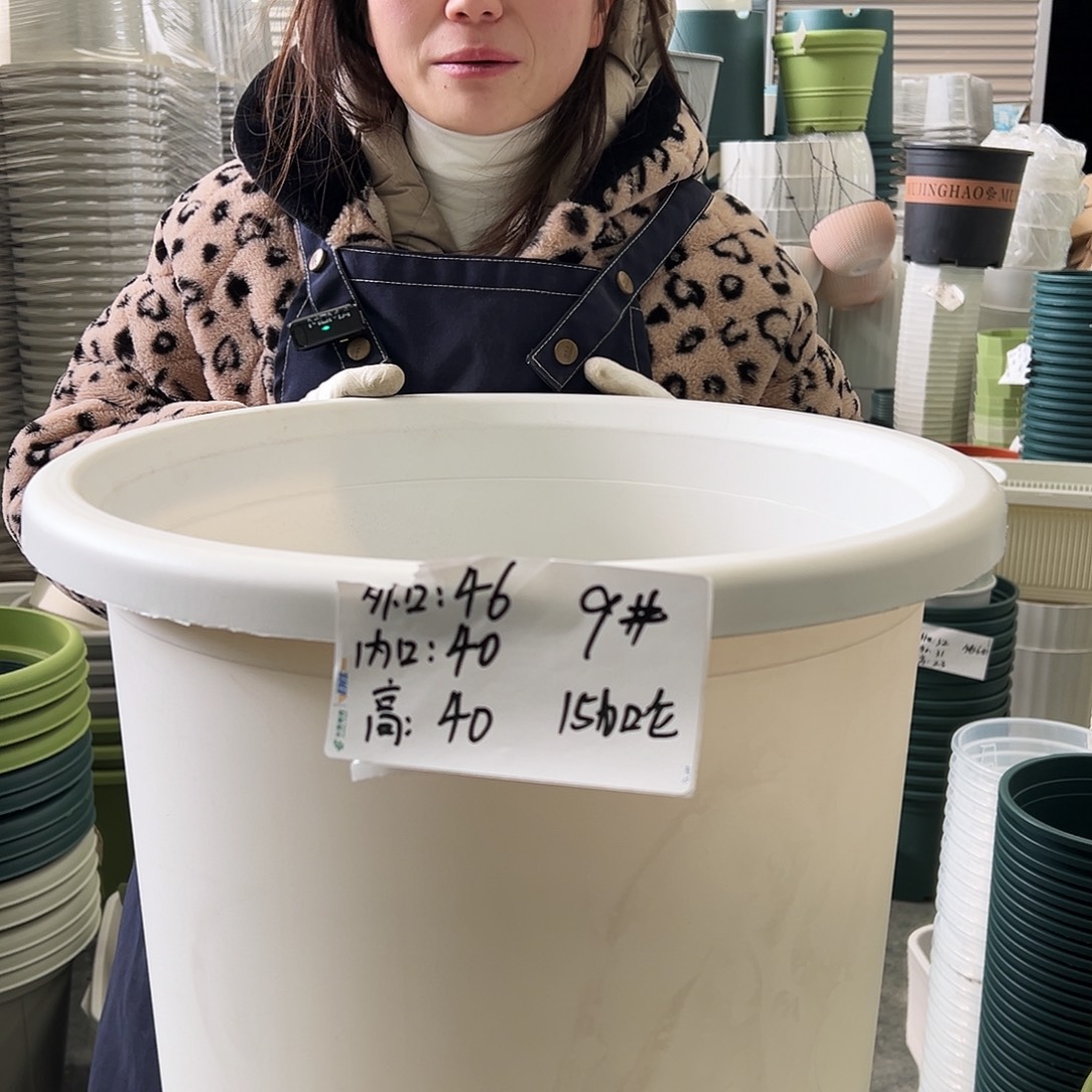 四季盆9#白色4个无托