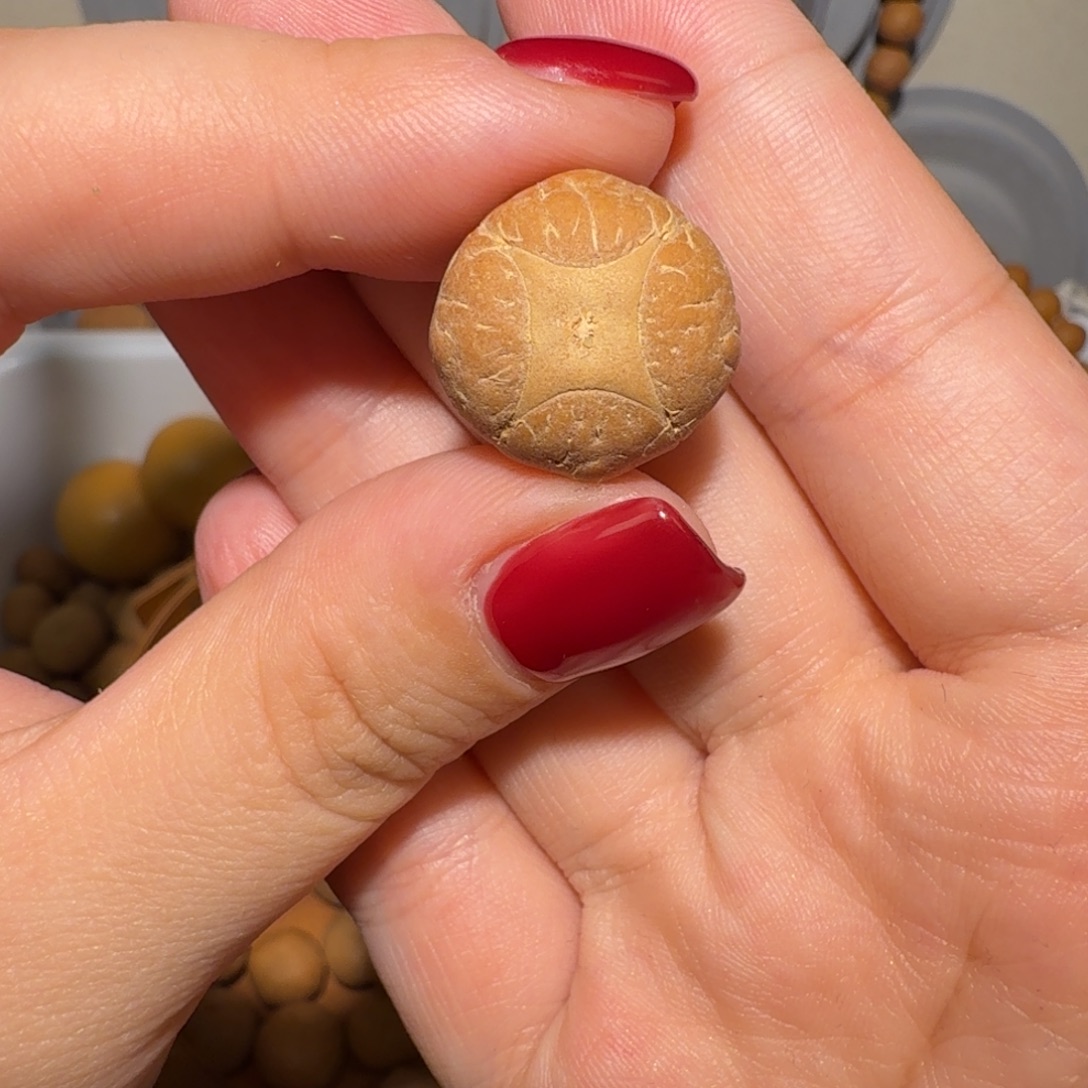 辽***的吊坠麒麟眼菩提辽宁