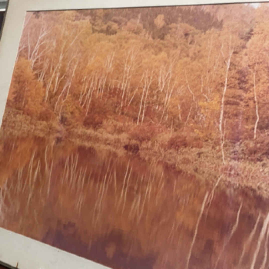竹语甄选，绘画绘画