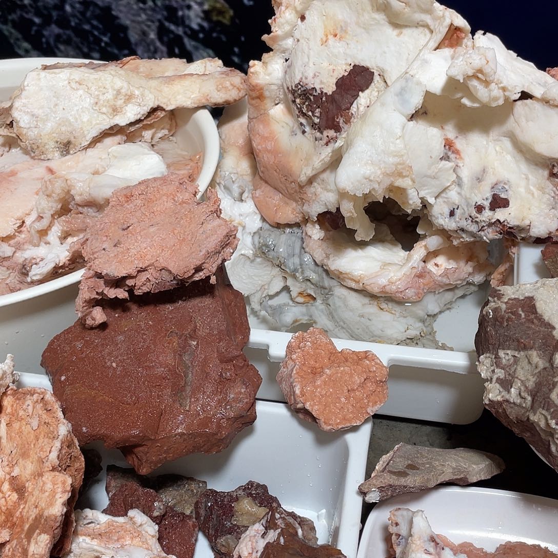 有机玻璃长白山太岁肉灵芝