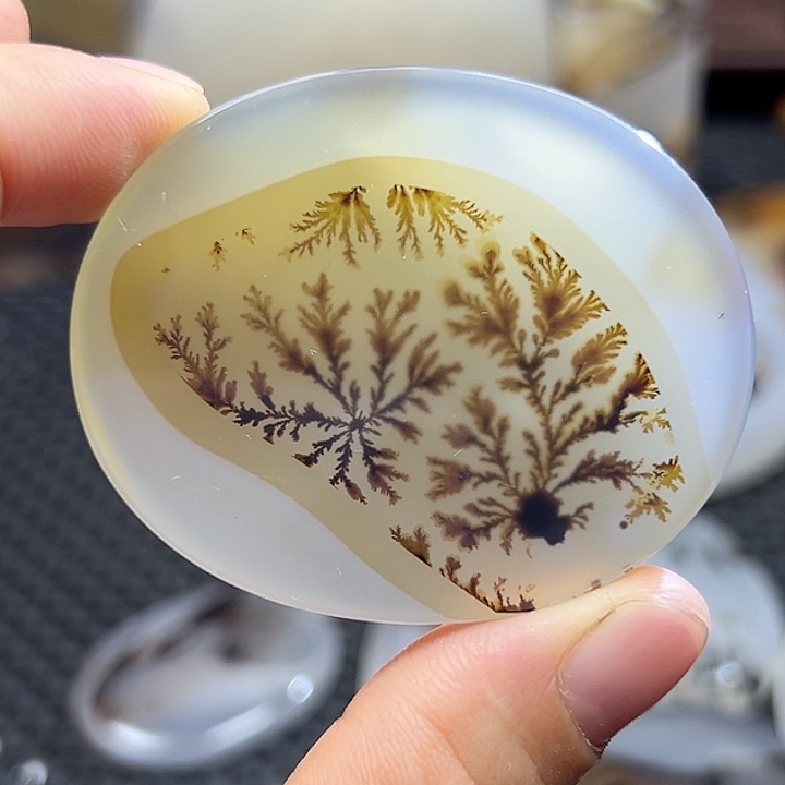 玛瑙/玉髓未镶嵌珠宝半成品