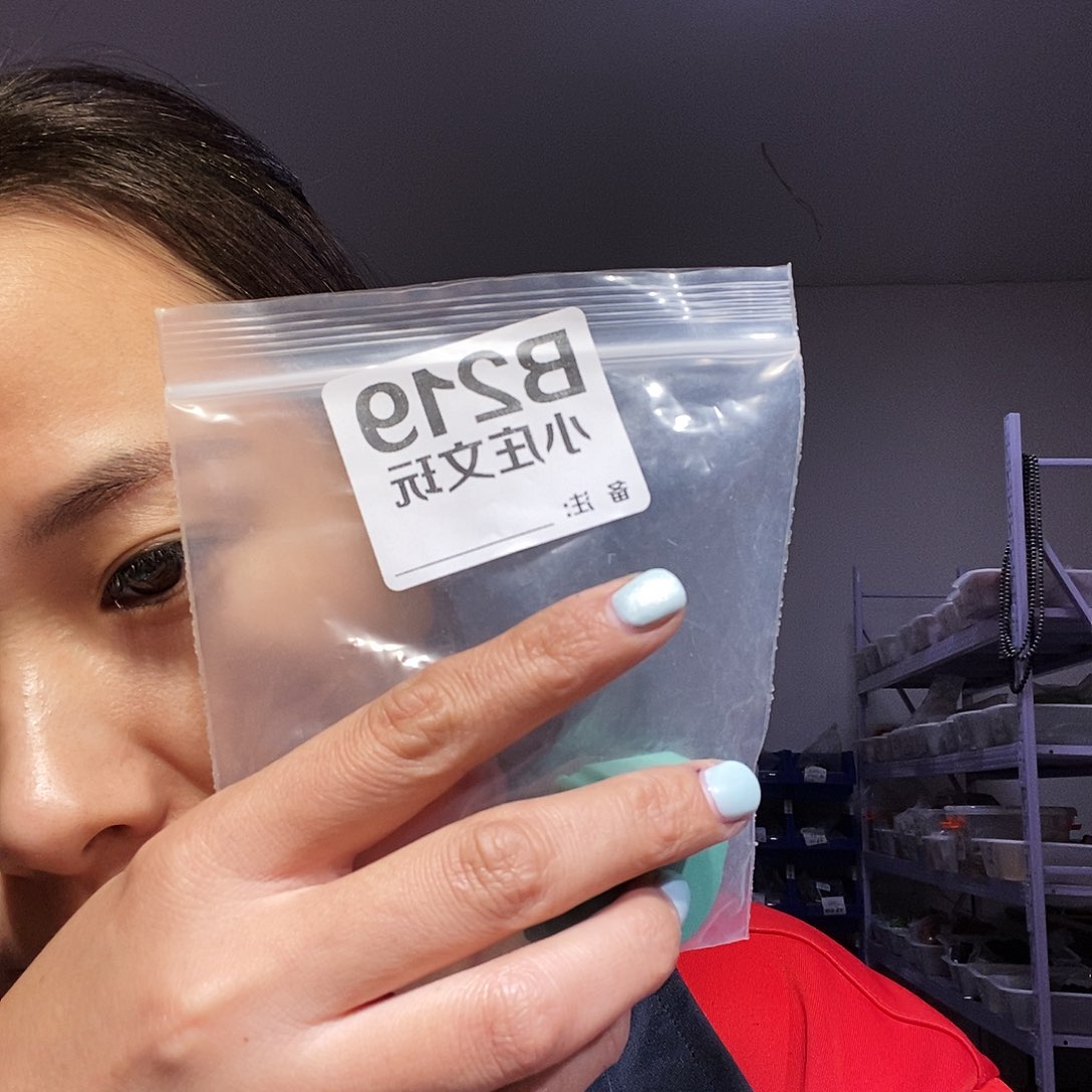 【闪购商品】风***。黑檀木219