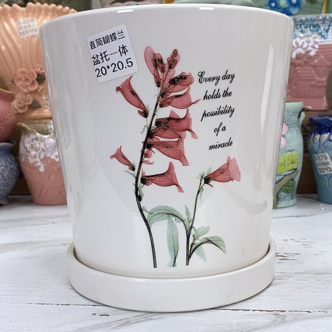 陶瓷@陶瓷花盆@@5868286