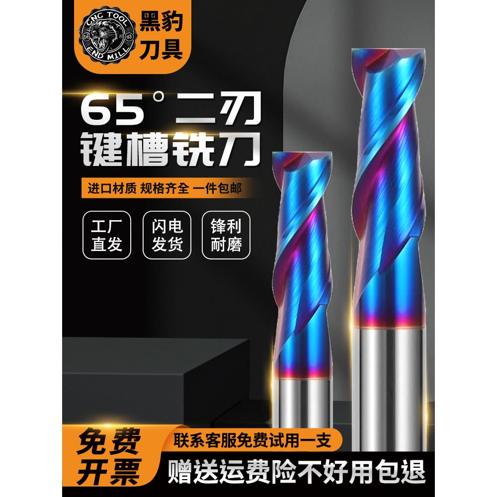 黑豹65度2刃钨钢铣刀两刃键槽铣刀合金铣刀2刃加长不锈钢用立铣刀