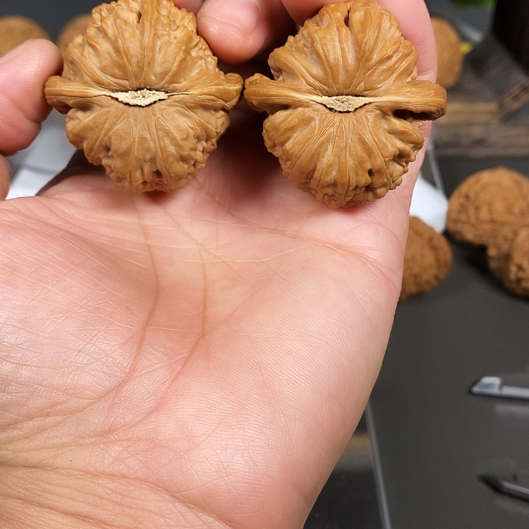 文玩核桃把件红皮老树白狮子骨质超棒