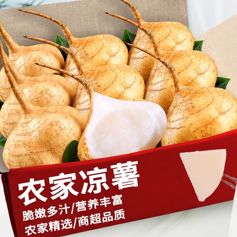 广西沙地凉薯当季应季新鲜白地瓜沙葛地萝卜脆甜多汁孕妇水果整箱