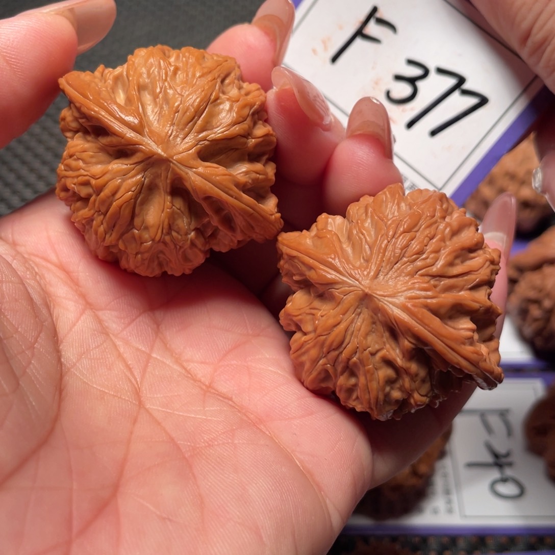 文玩核桃把件377哈磨盘43