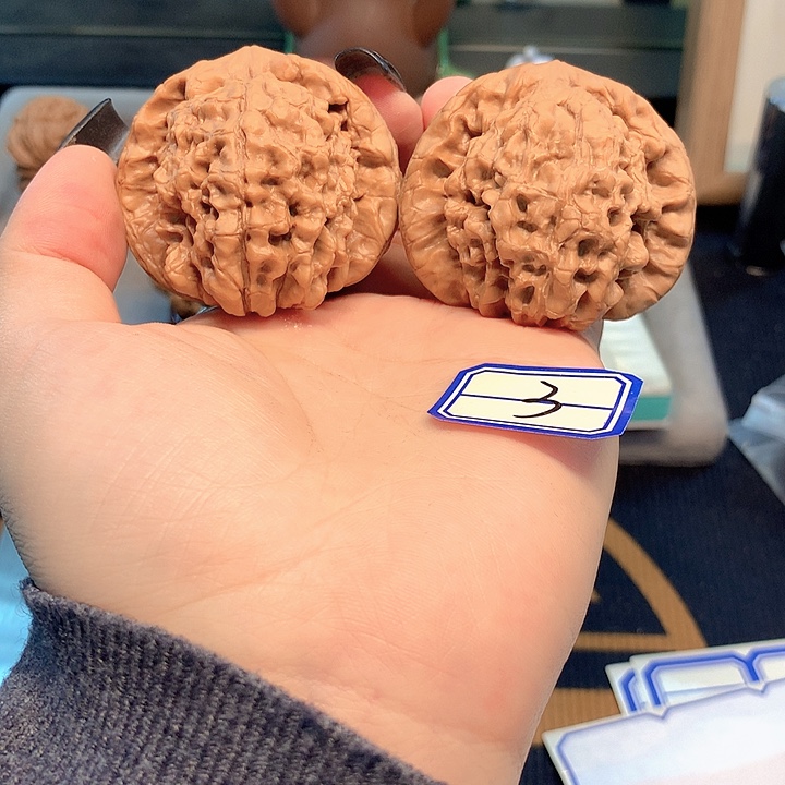 木质类龙鼎50尺寸