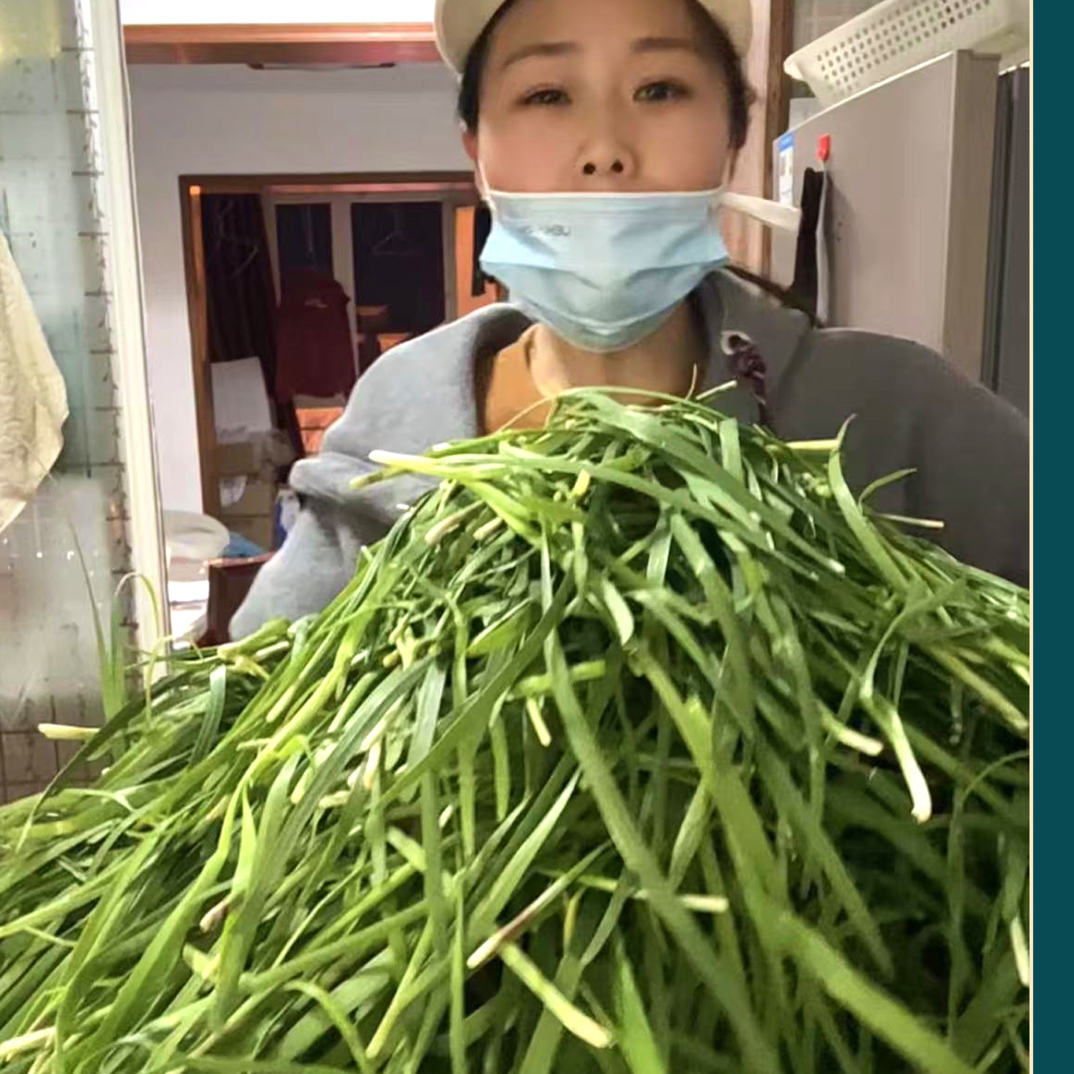 定远香禾园农家自制土韭菜 腌 韭菜下饭神器