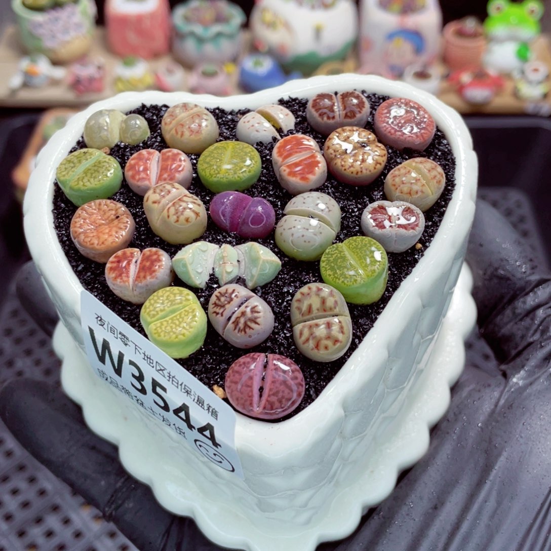 夜间零下地区拍保温箱w3544