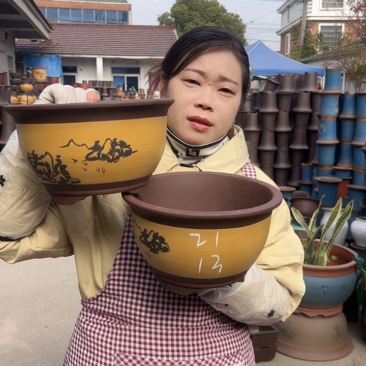 21+21黄色三角金钟花盆花盆花盆
