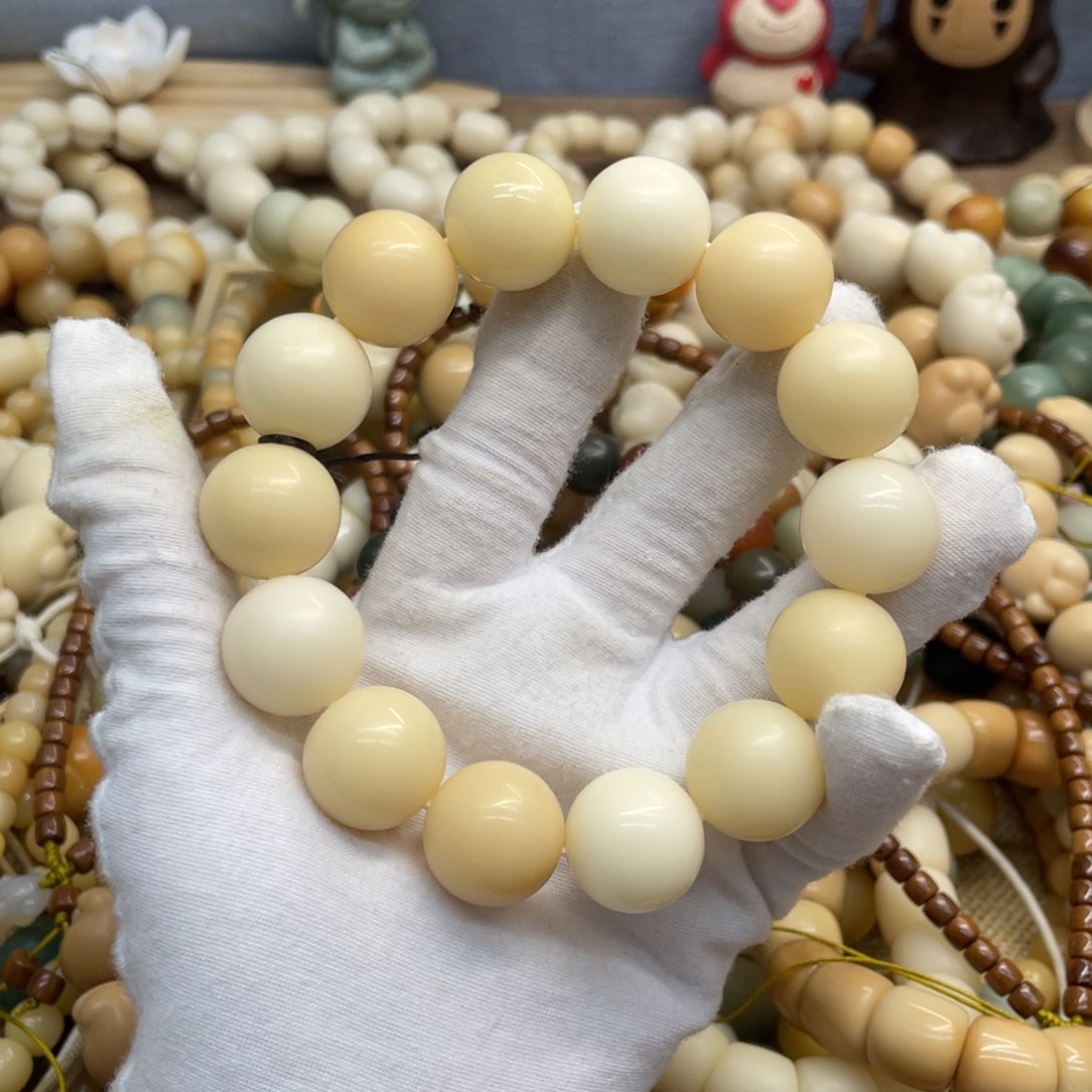 菩提根/象牙果吊坠19干磨微瑕落地果下播福利878