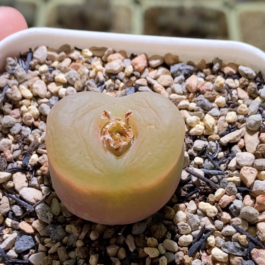 好看好看好看好看