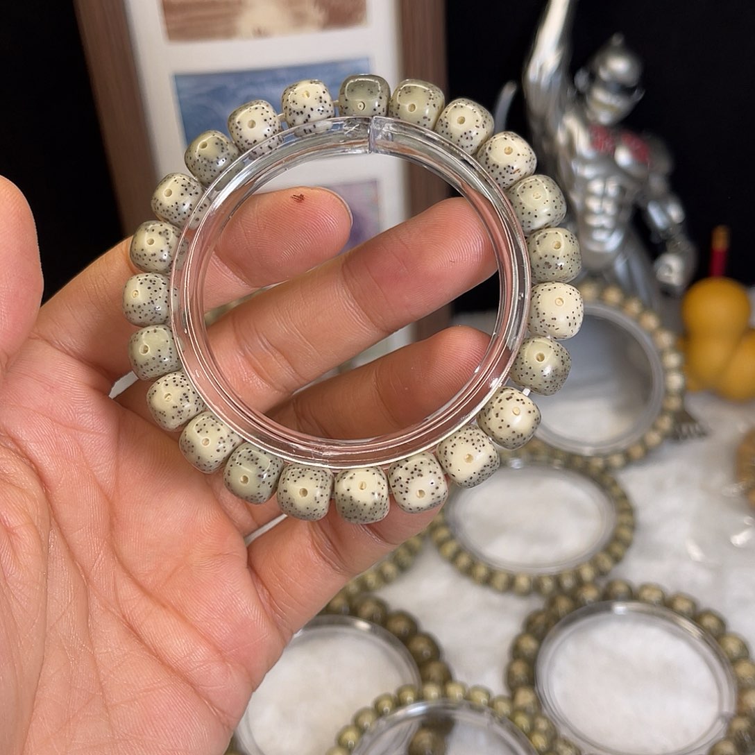 星月菩提手串893 号.   星月菩提.  一物一图. 