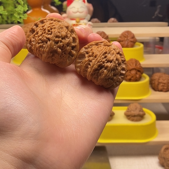 白狮子全品无修40加的