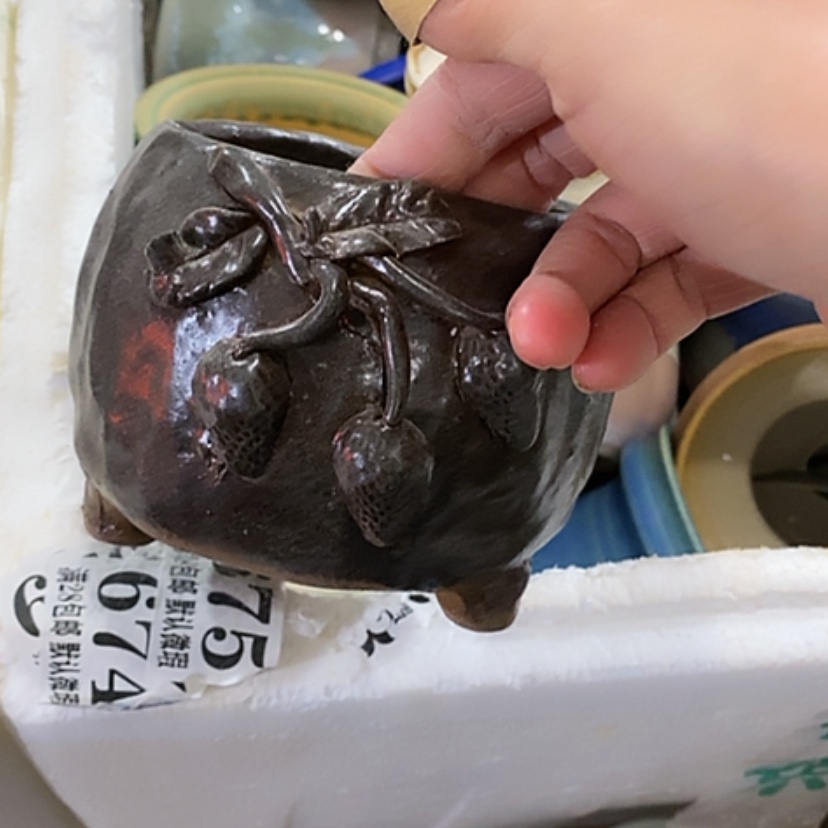 【闪购商品】红陶口8.5