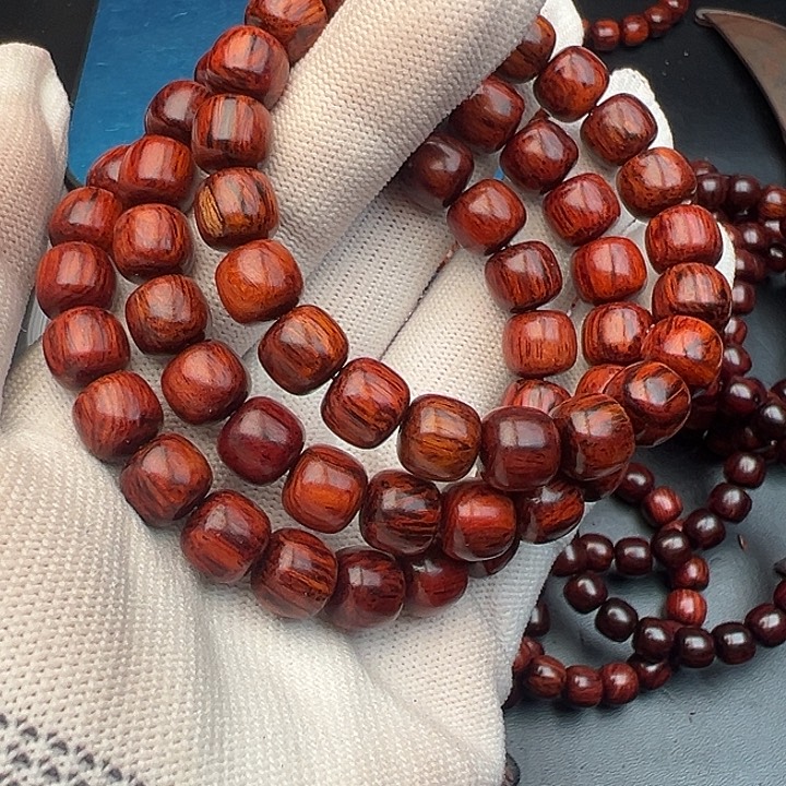 藤类海南红降木本1.0老型88