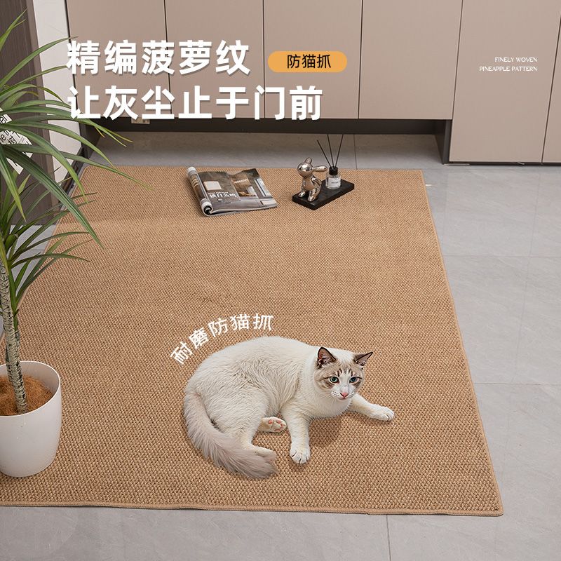 入户门地垫纯色吸水地垫客厅大地毯门垫进门玄关防滑耐磨蹭脚地垫