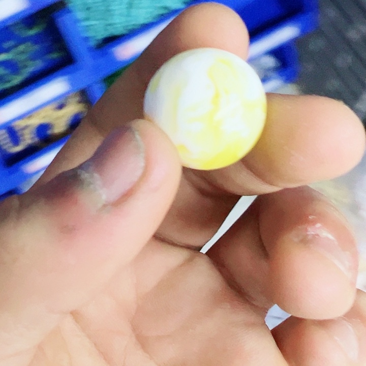 香榧木13单科!!!!!!!!!!’nnn