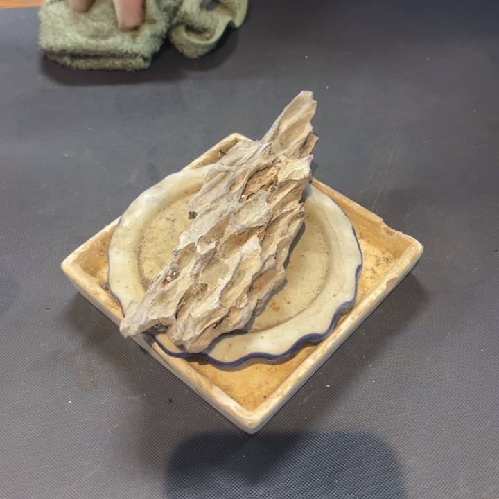 瓷片武**中拾六家的瓷器瓷器