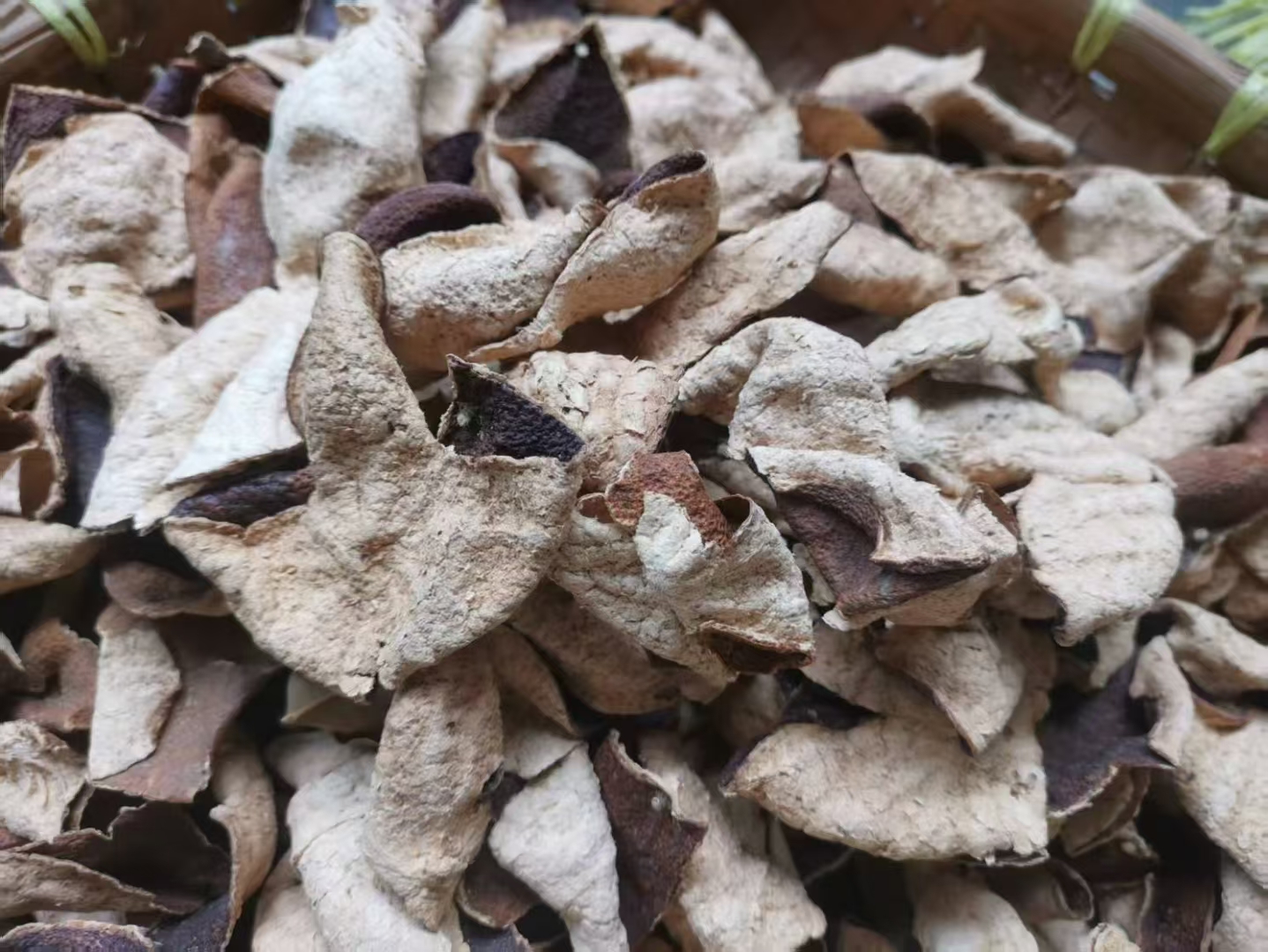 2016西甲大红（薄荷香）