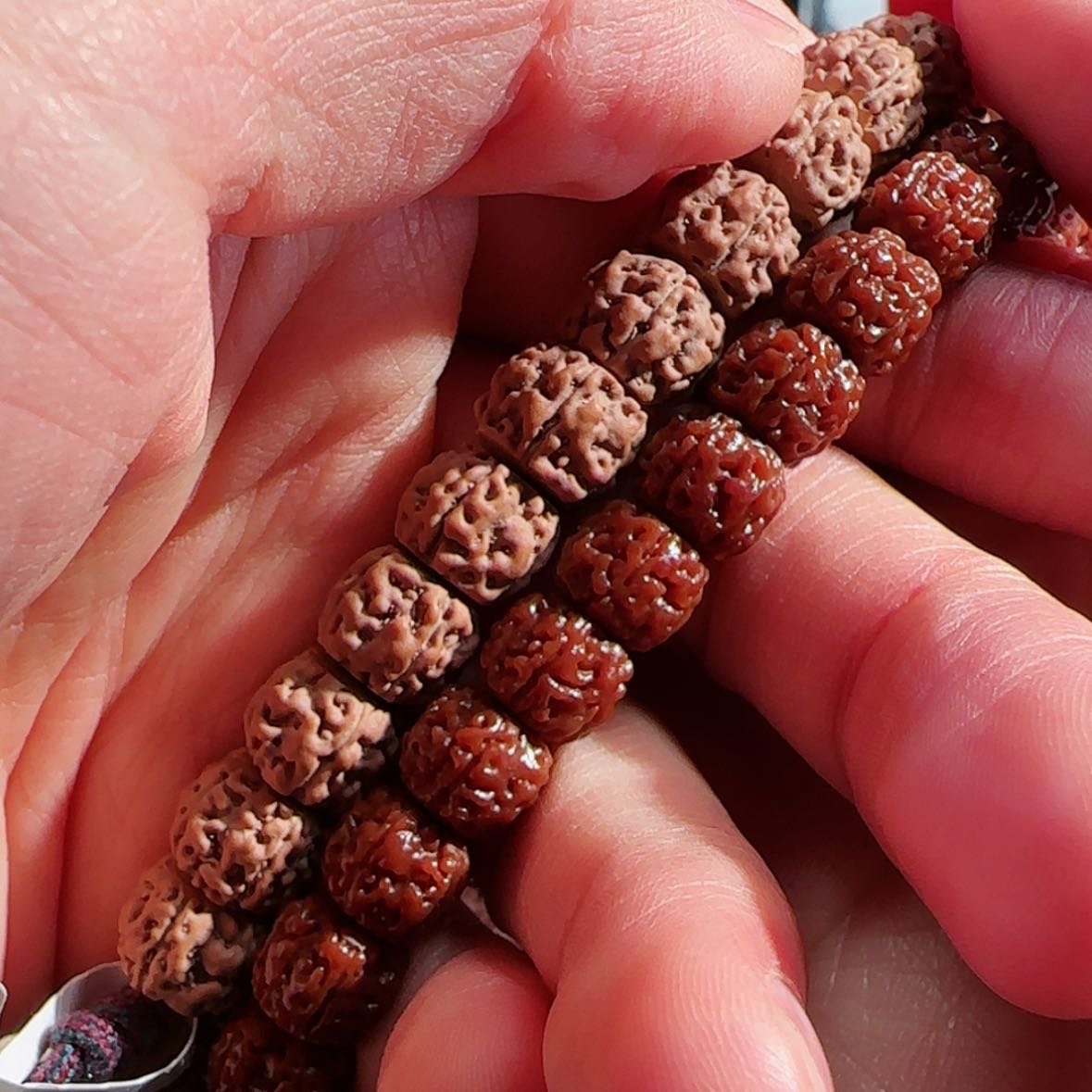 【闪购商品】吊坠金刚菩提保真纯血一代盘龙福利11仅此1️⃣条