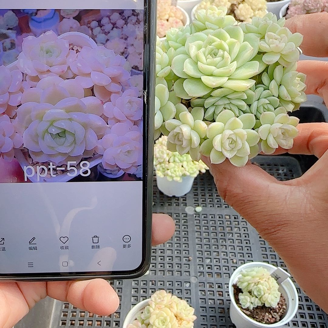 萍***1204-60（ppt-58）优选专