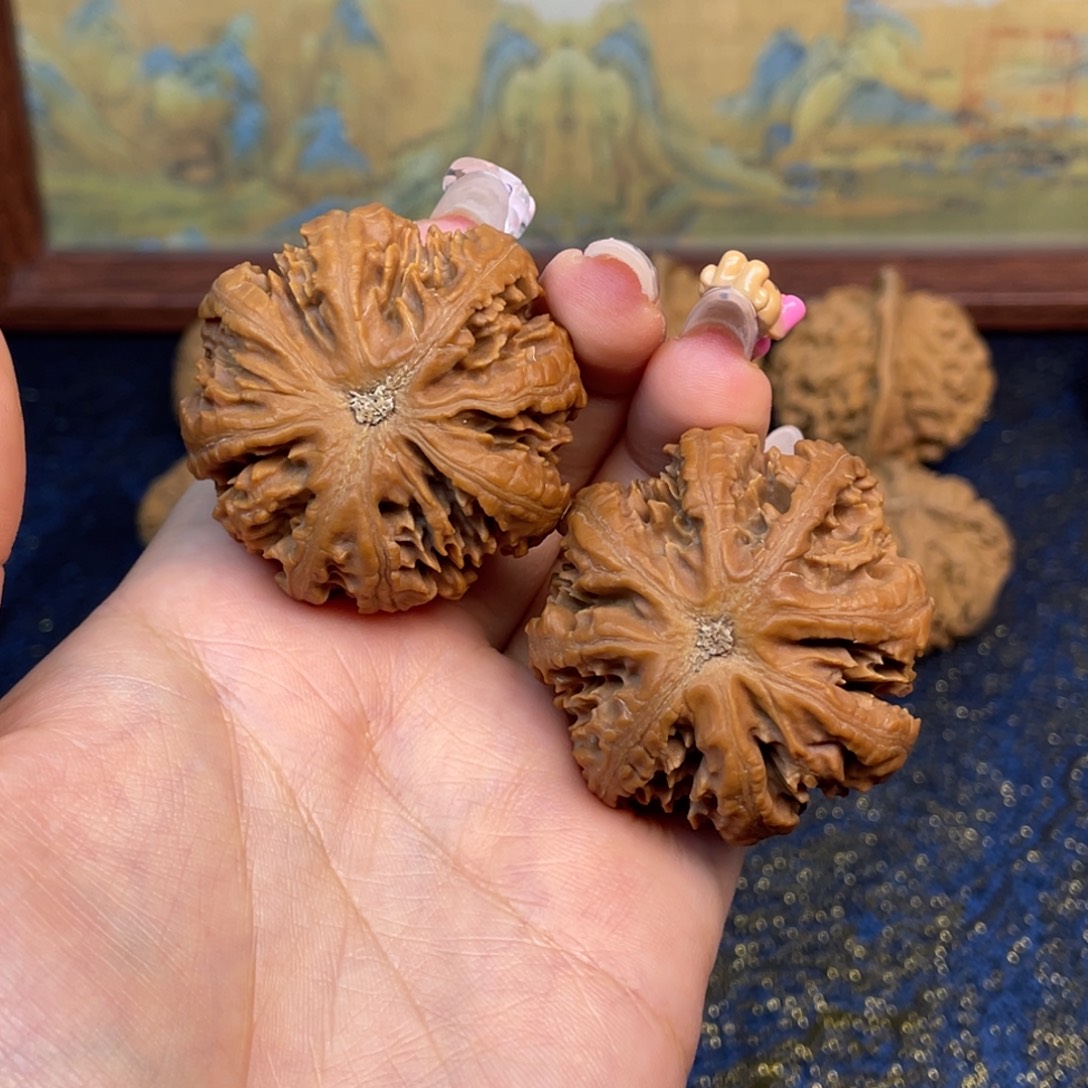 坐***管核桃3号链接33333