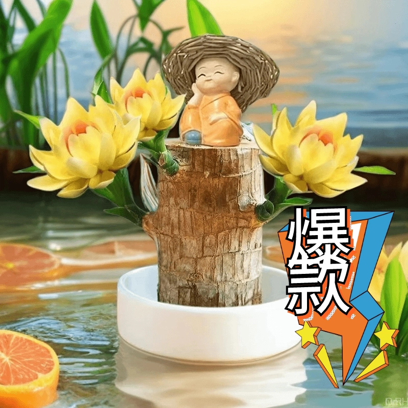 【10年以上带芽发货正宗进口品质】巴西木幸运木水培盆栽巴西木