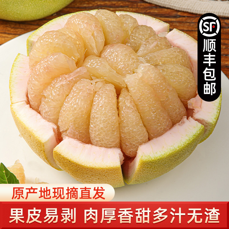 【顺丰包邮】无孔精品果正宗福建仙游度尾文旦柚5/10斤礼盒新鲜水果