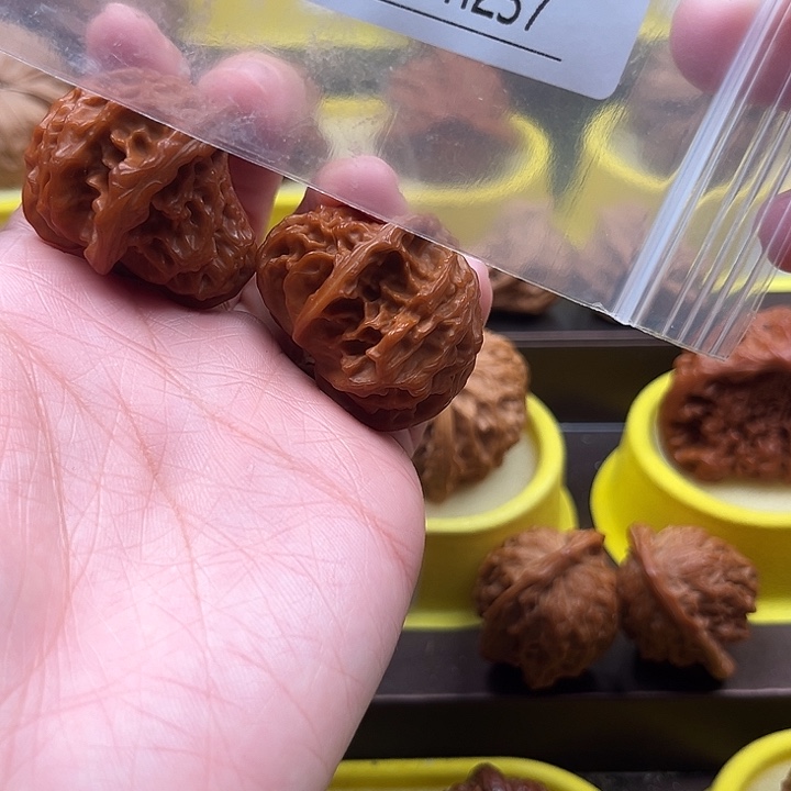 种***熊文玩核桃吊坠抱子蛇