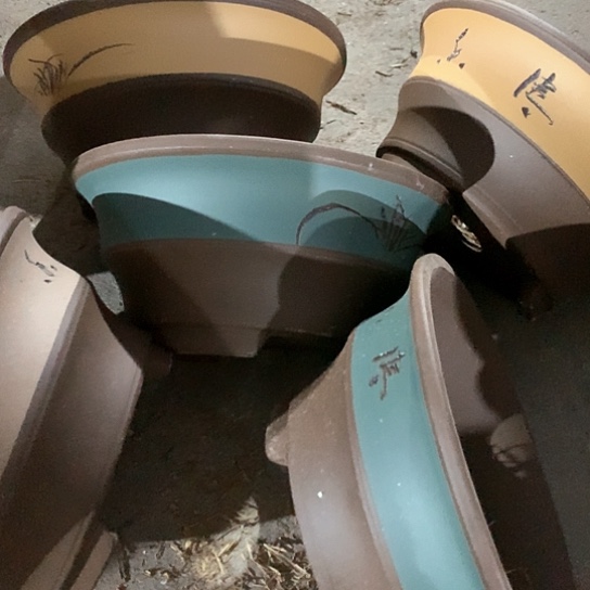 紫砂100-5。 27.5-12